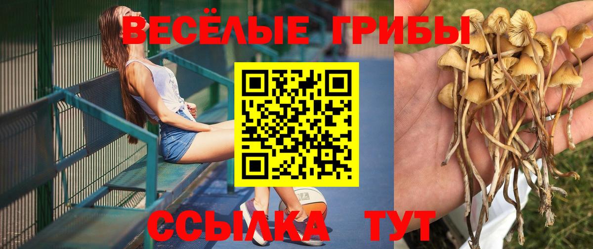 Псилоцибиновые грибы GOLDEN TEACHER  Вход с VPN  Уссурийск 